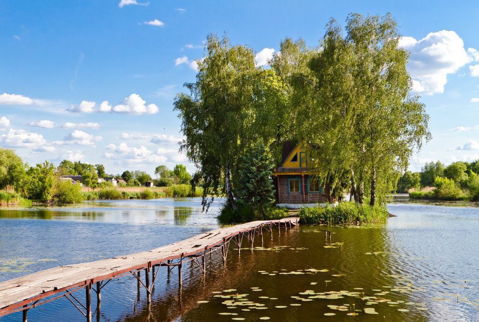 Juda kichiklari jinni